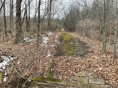 8110 Peavy Road Allen, NY 14709 - Photo 6 of 47