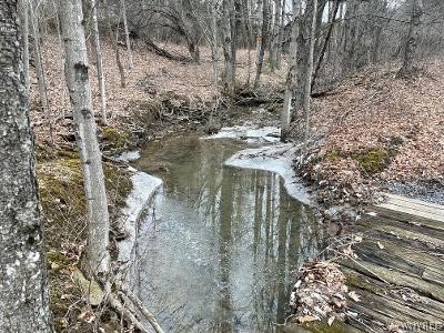 8110 Peavy Road Allen, NY 14709 - Photo 7 of 47