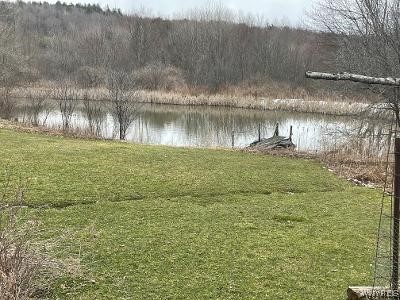 8110 Peavy Road Allen, NY 14709 - Photo 9 of 47