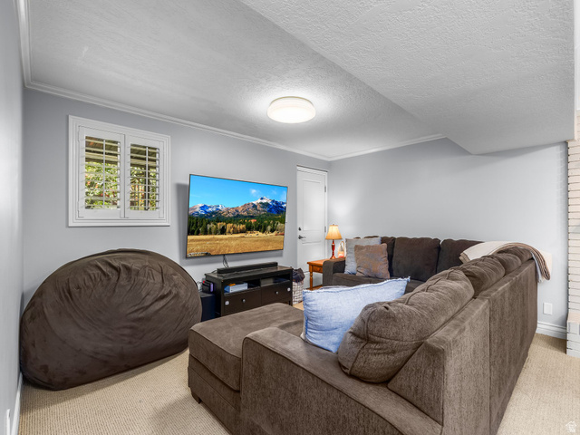523 Mountain View Road Centerville, UT 84014 - Photo 17 of 33 Living area featuring light carpet, crown molding, and a textured ceiling