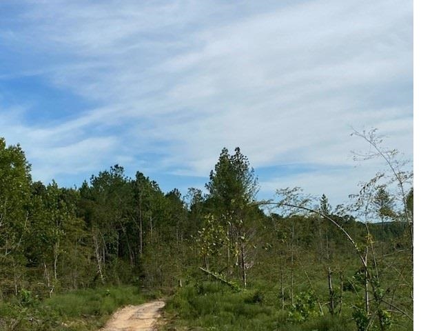 0 Pine Top (057 009.03) Road Toone, TN 38381 - Photo 7 of 10 a view of a lake