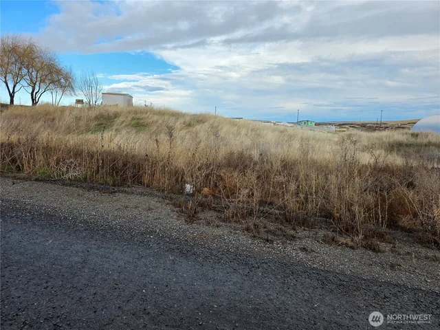 a view of a road with an ocean