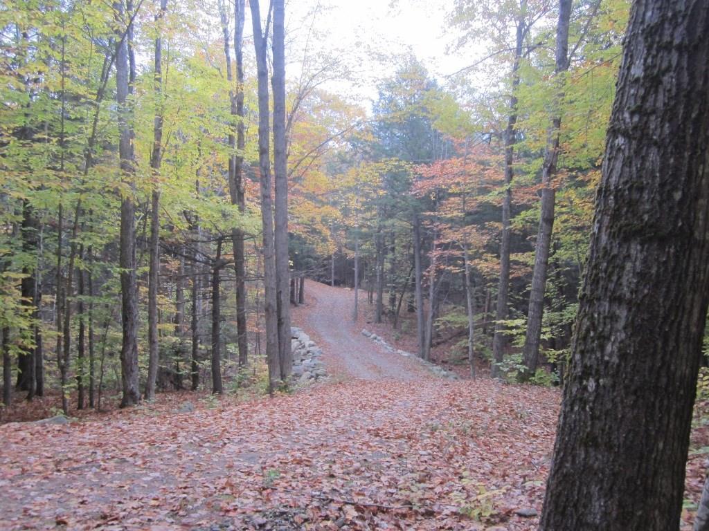 24 Pine Tree Road Litchfield, ME 04350 - Photo 25 of 35 View is heading "out" but before the...