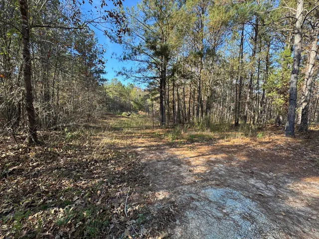 $69,900 | 1151 Buckhead Drive, Tignall, GA 30668