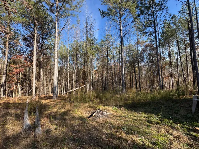 $69,900 | 1151 Buckhead Drive, Tignall, GA 30668