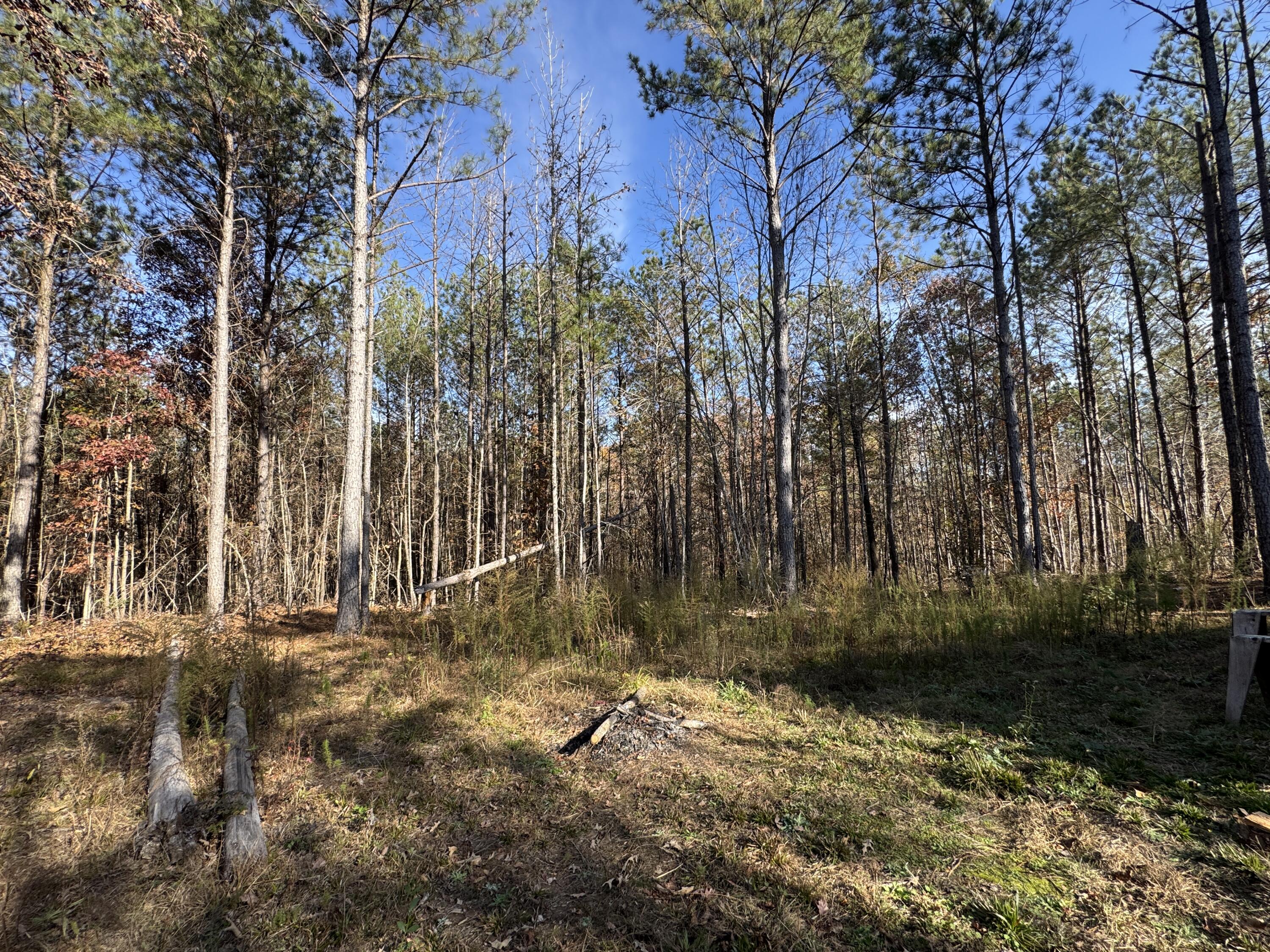 1151 Buckhead Drive Tignall, GA 30668 - Photo 3 of 9 IMG_5558