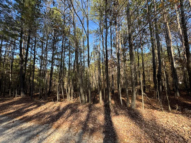 $69,900 | 1151 Buckhead Drive, Tignall, GA 30668