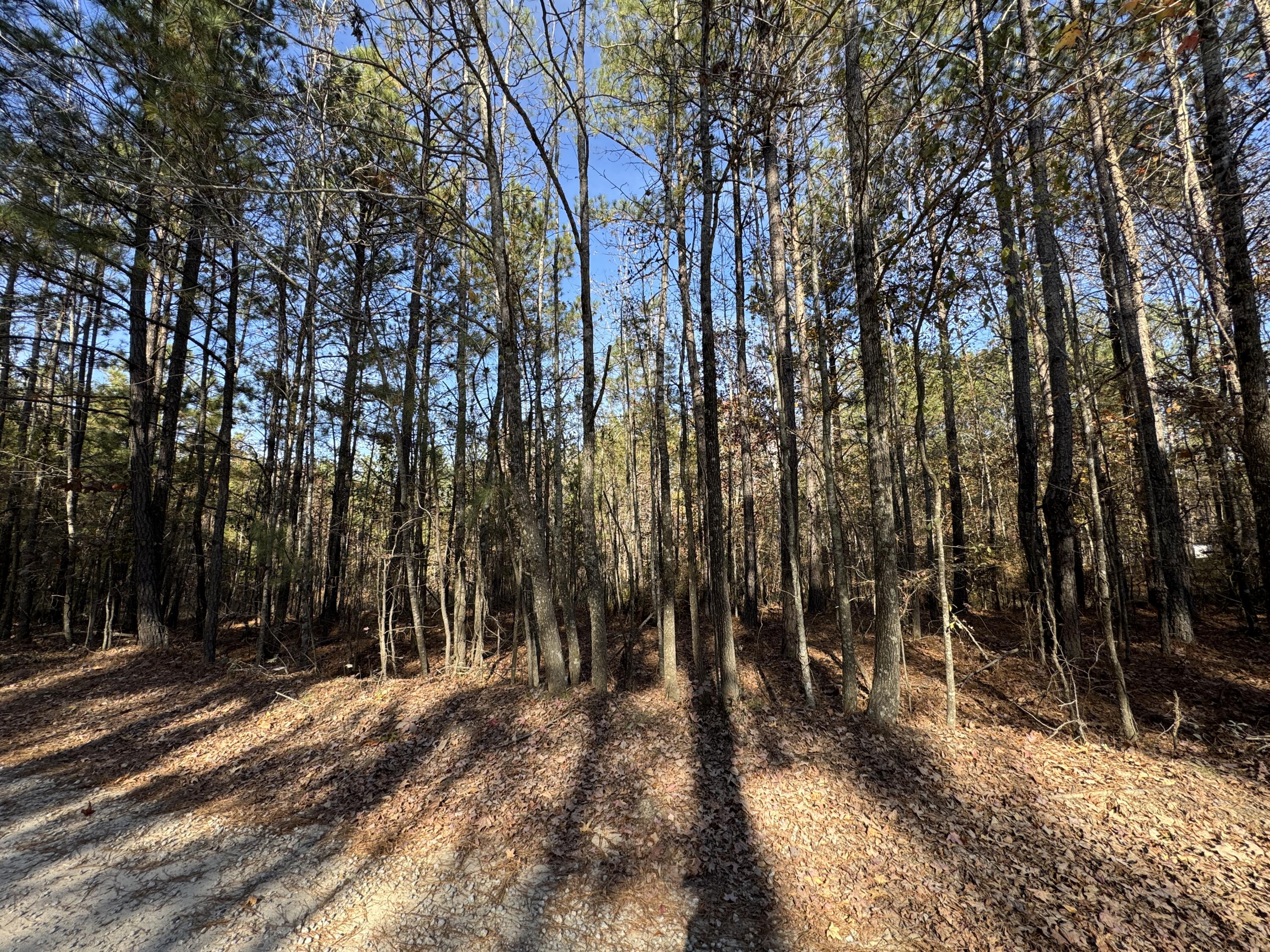 1151 Buckhead Drive Tignall, GA 30668 - Photo 4 of 9 IMG_5553