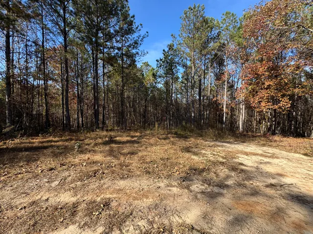 $69,900 | 1151 Buckhead Drive, Tignall, GA 30668