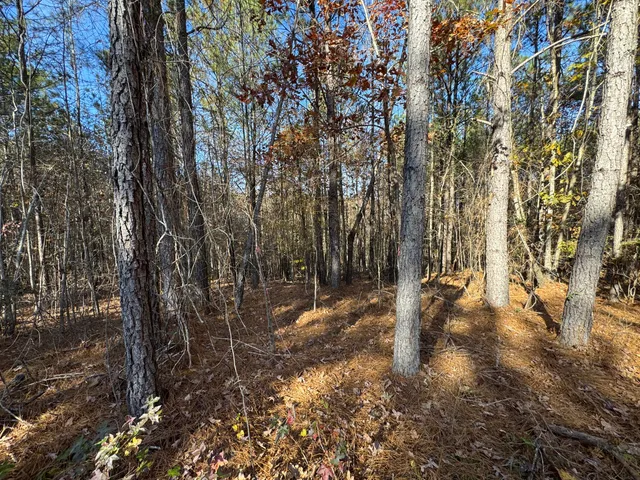 $69,900 | 1151 Buckhead Drive, Tignall, GA 30668