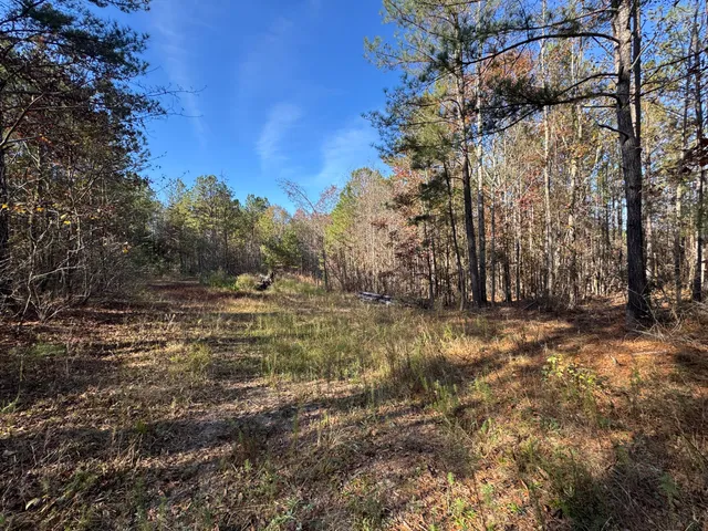 $69,900 | 1151 Buckhead Drive, Tignall, GA 30668