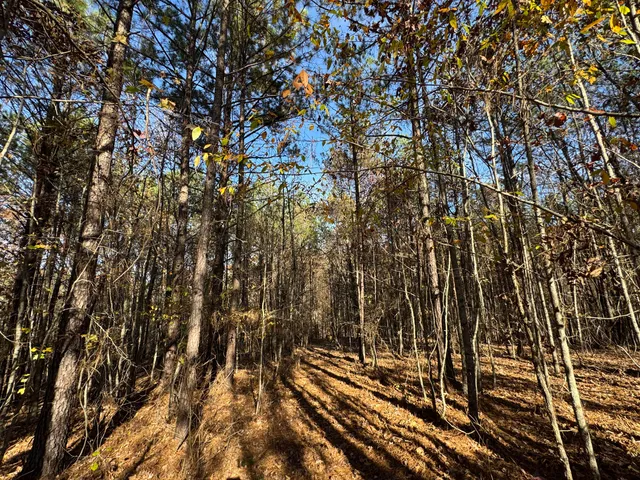 $69,900 | 1151 Buckhead Drive, Tignall, GA 30668