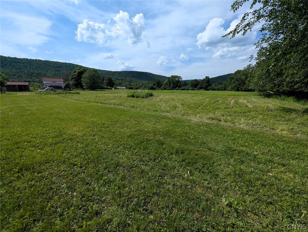 5430 Meads Creek Road Campbell, NY 14870 - Photo 42 of 48