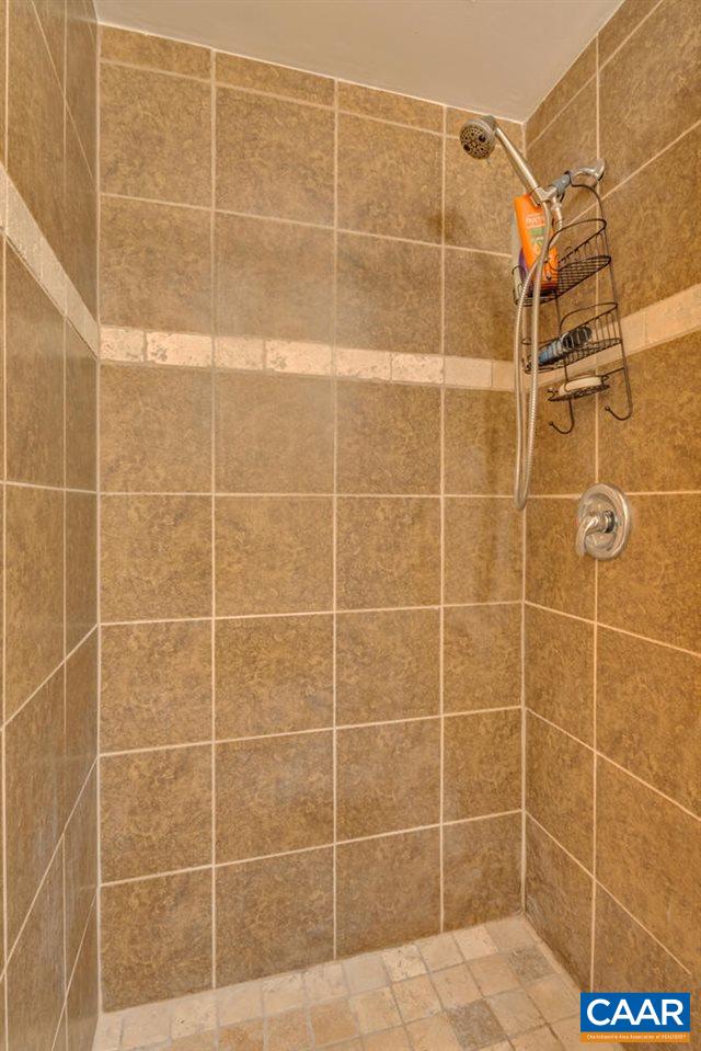 474 Rolkin Road Charlottesville, VA 22911 - Photo 23 of 42 a bathroom with a shower