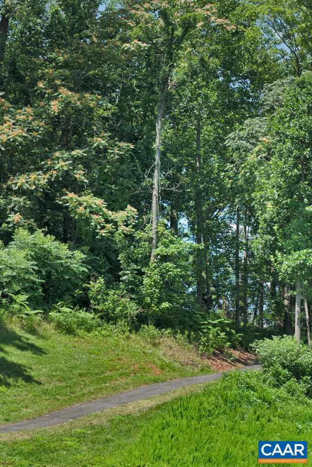 474 Rolkin Road Charlottesville, VA 22911 - Photo 39 of 42