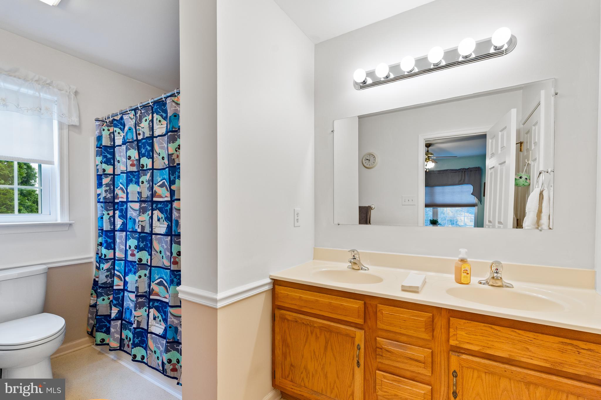 38 Allison Way Elkton, MD 21921 - Photo 15 of 26 Primary bathroom