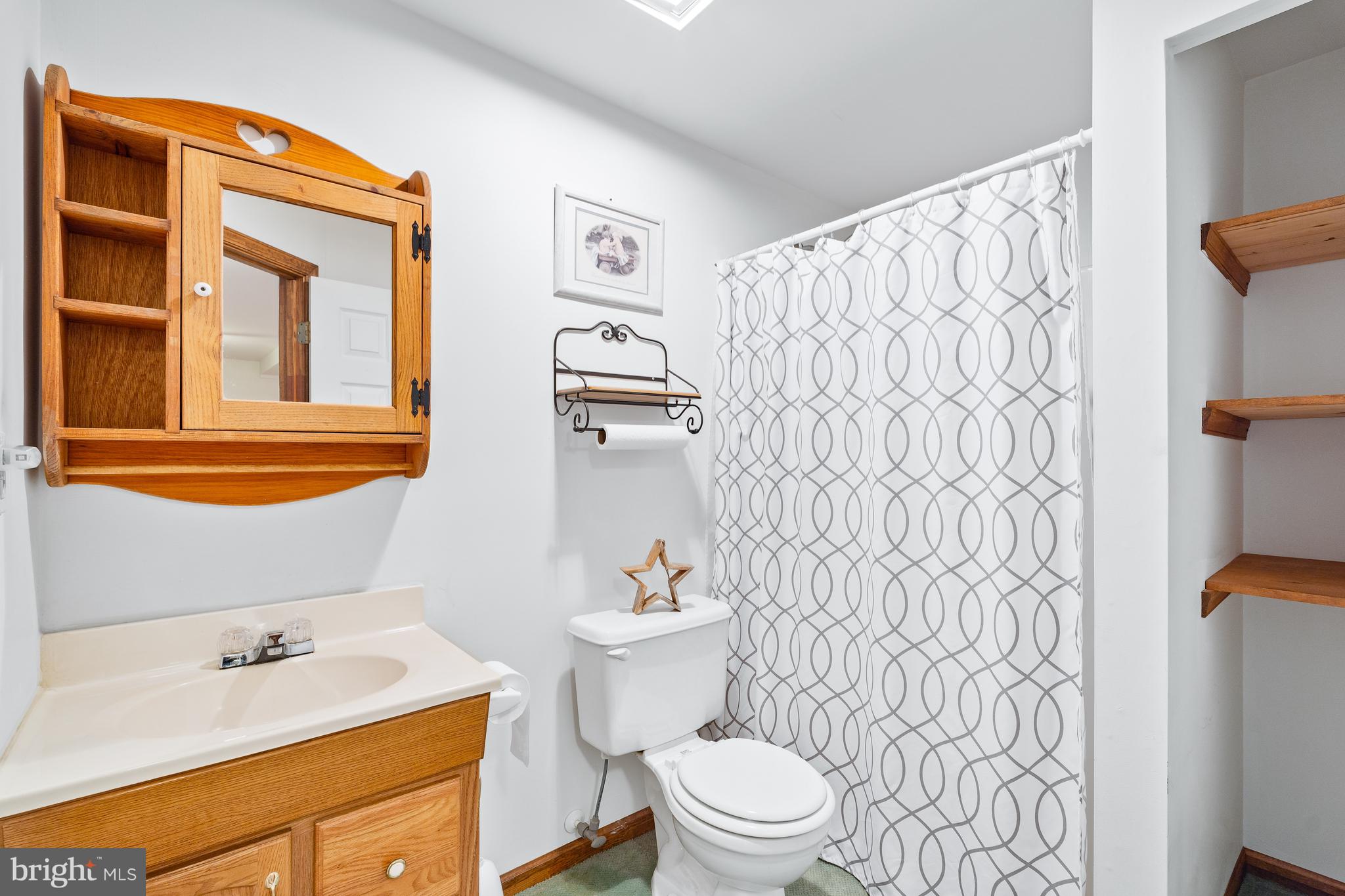 38 Allison Way Elkton, MD 21921 - Photo 19 of 26 Lower level bath