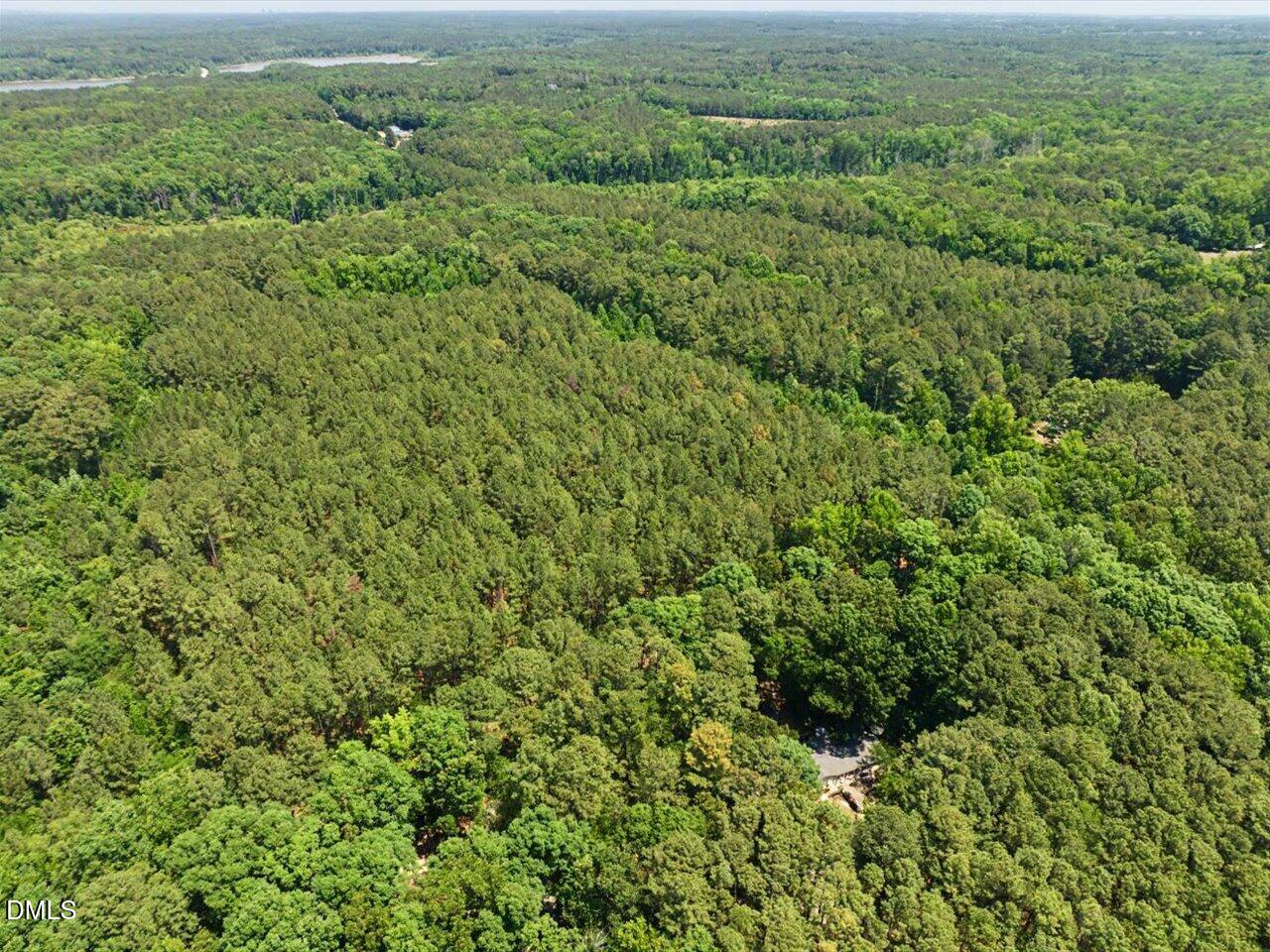 Lot 2 Clyde Farrell Road Apex, NC 27523 - Photo 5 of 28