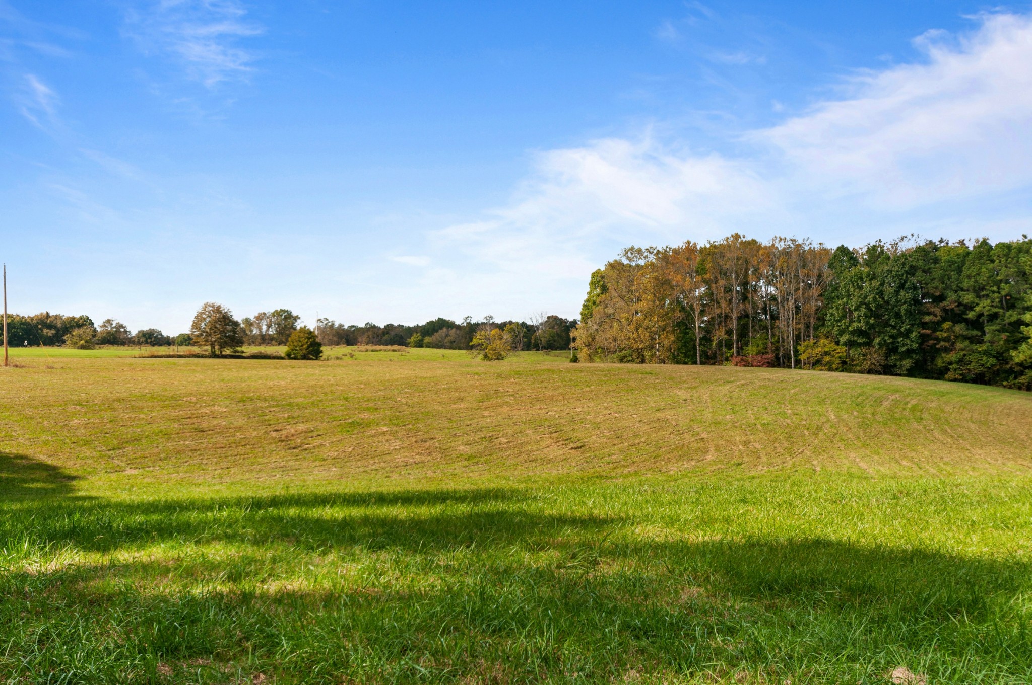 501 Riddle Lane Loretto, TN 38469 - Photo 24 of 36 Gallery Image 24