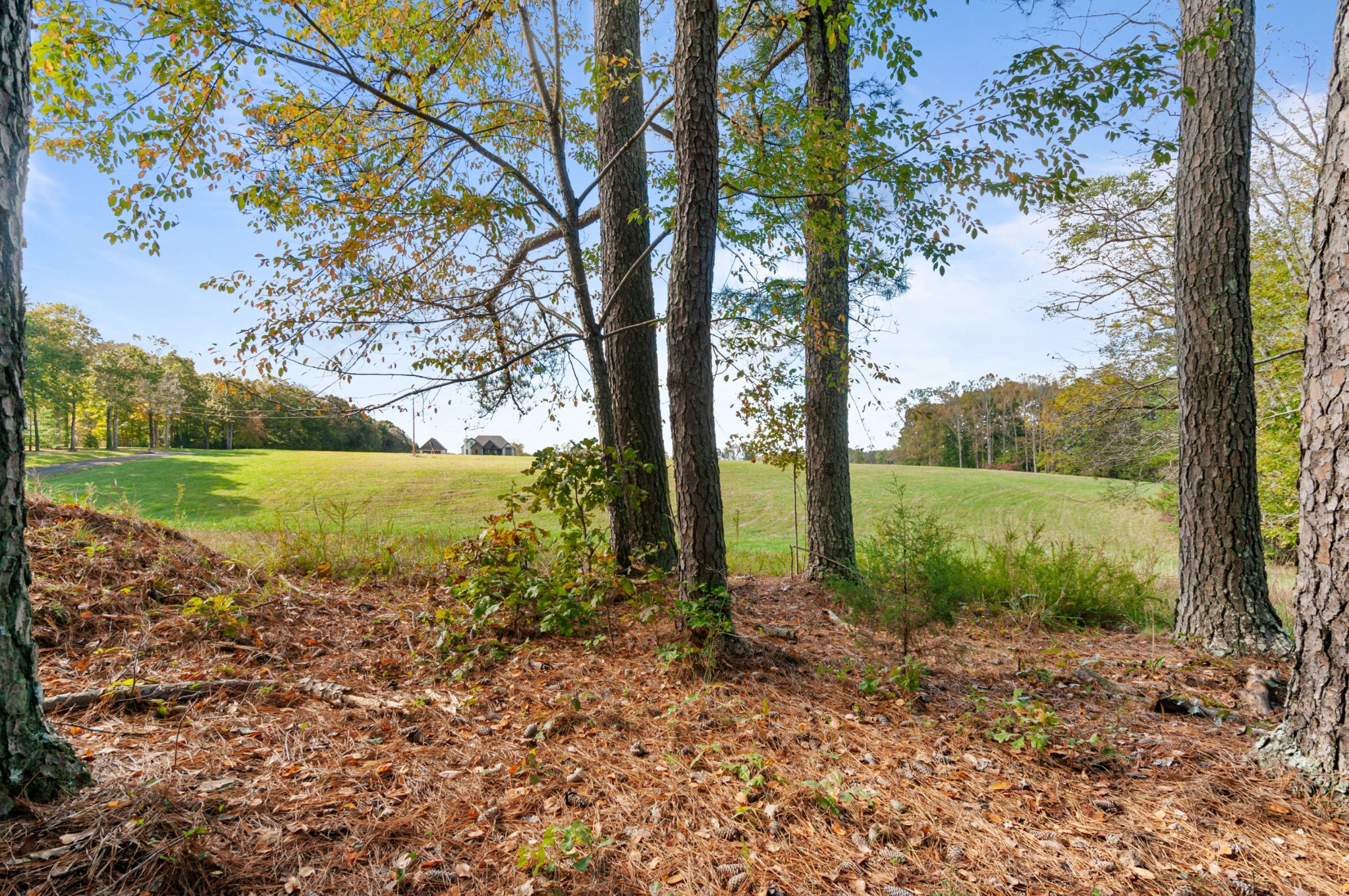 501 Riddle Lane Loretto, TN 38469 - Photo 25 of 36 Gallery Image 25