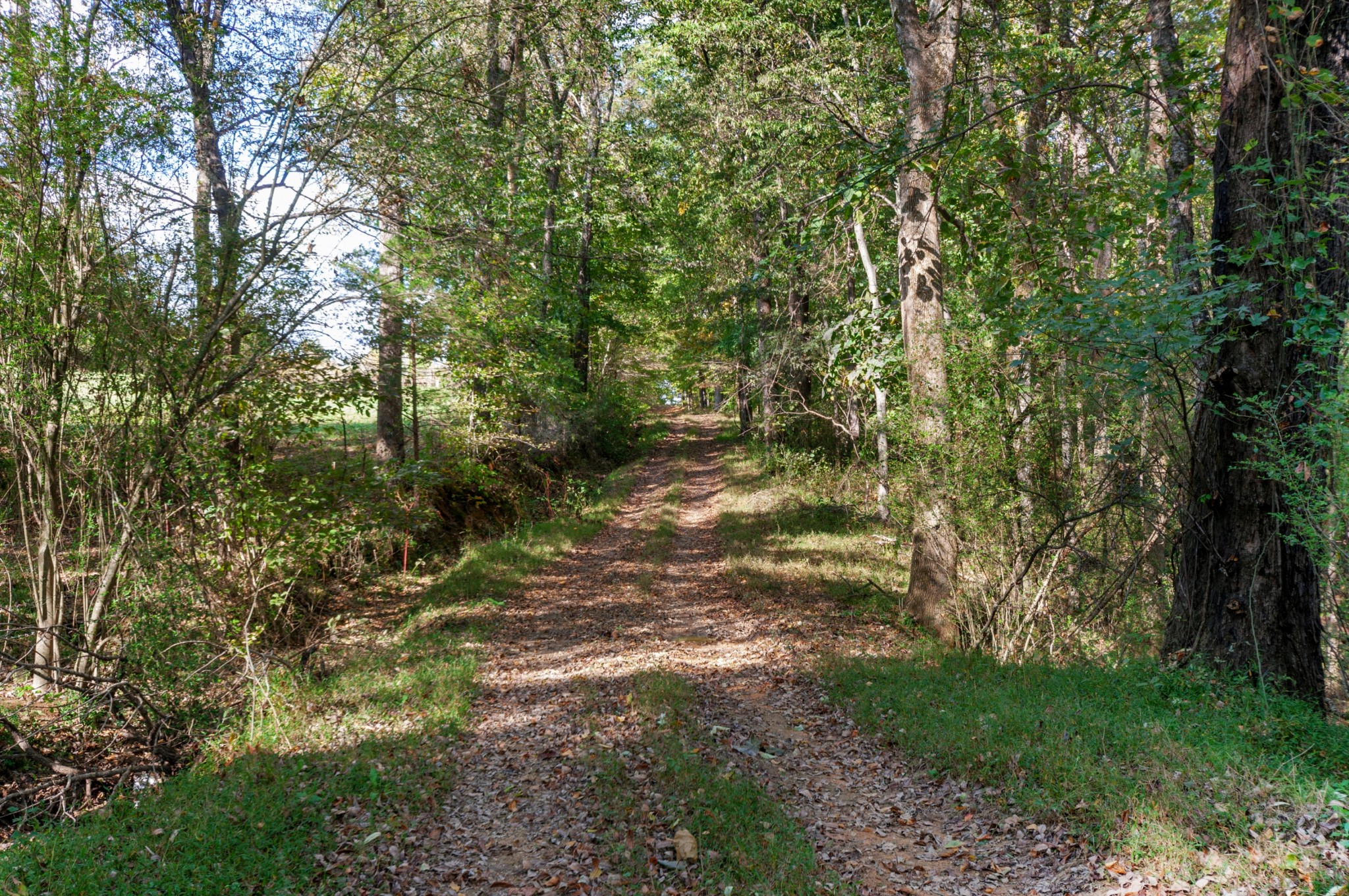 501 Riddle Lane Loretto, TN 38469 - Photo 27 of 36 Gallery Image 27