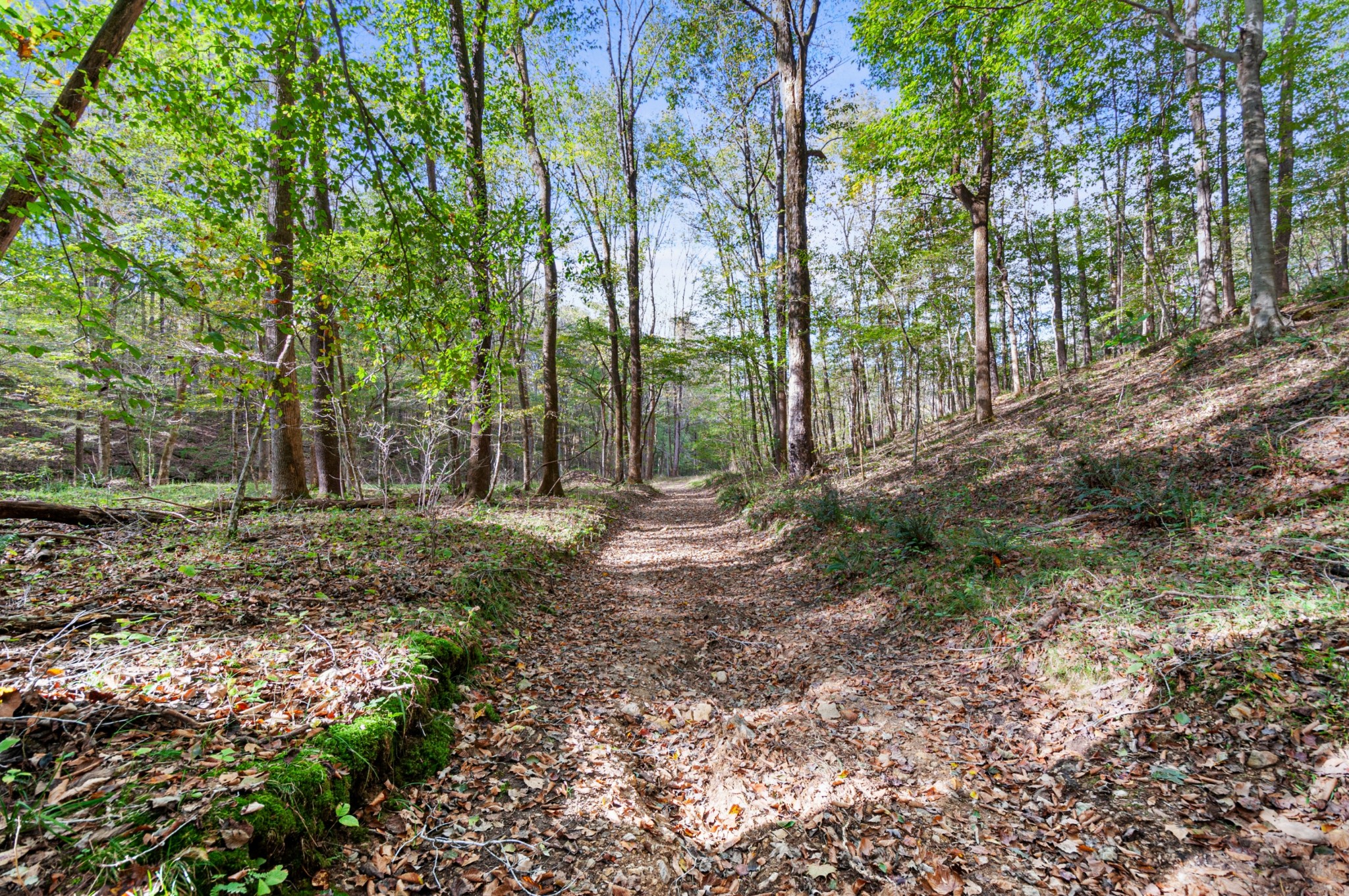 501 Riddle Lane Loretto, TN 38469 - Photo 28 of 36 Gallery Image 28