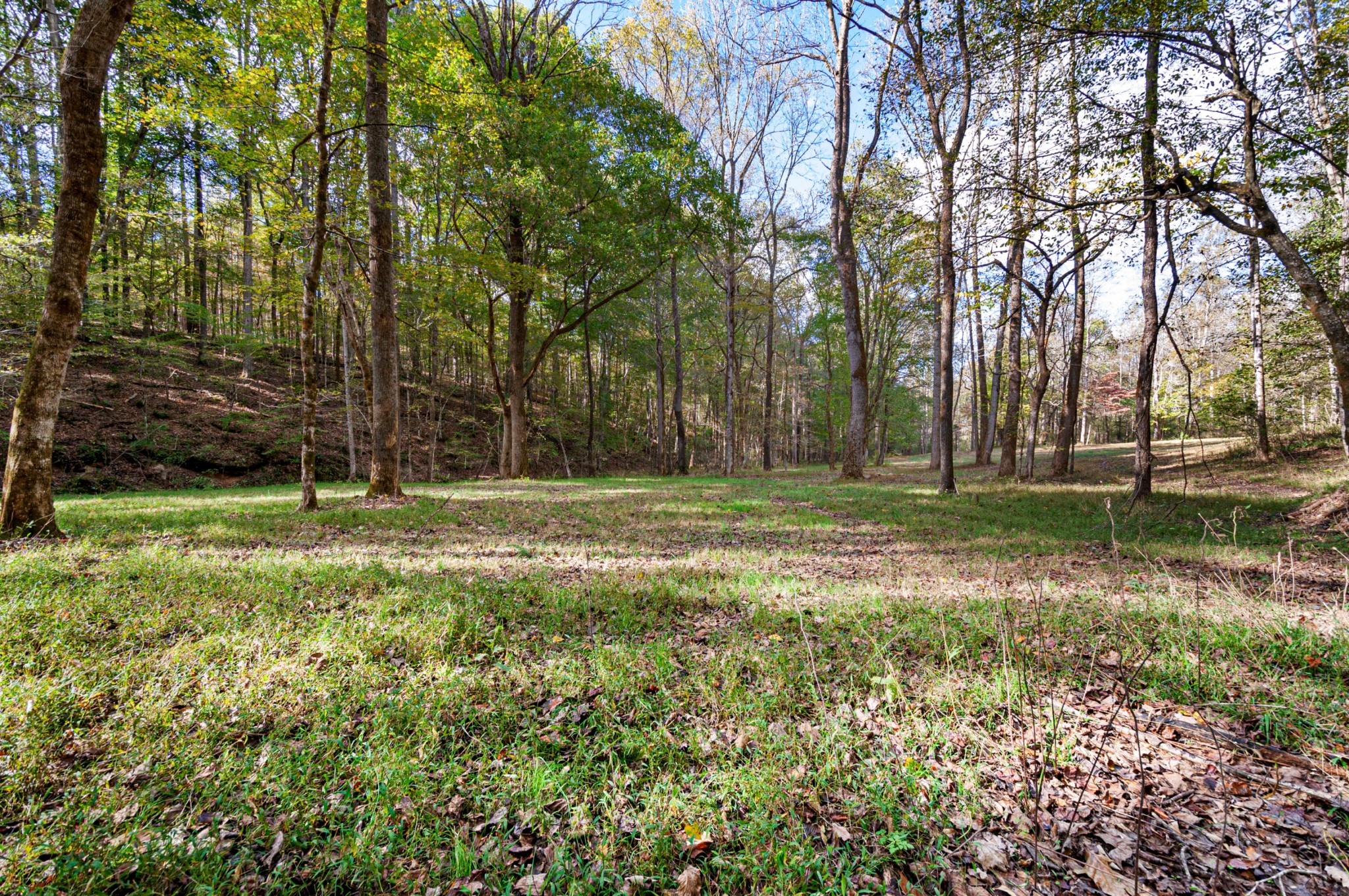 501 Riddle Lane Loretto, TN 38469 - Photo 29 of 36 Gallery Image 29