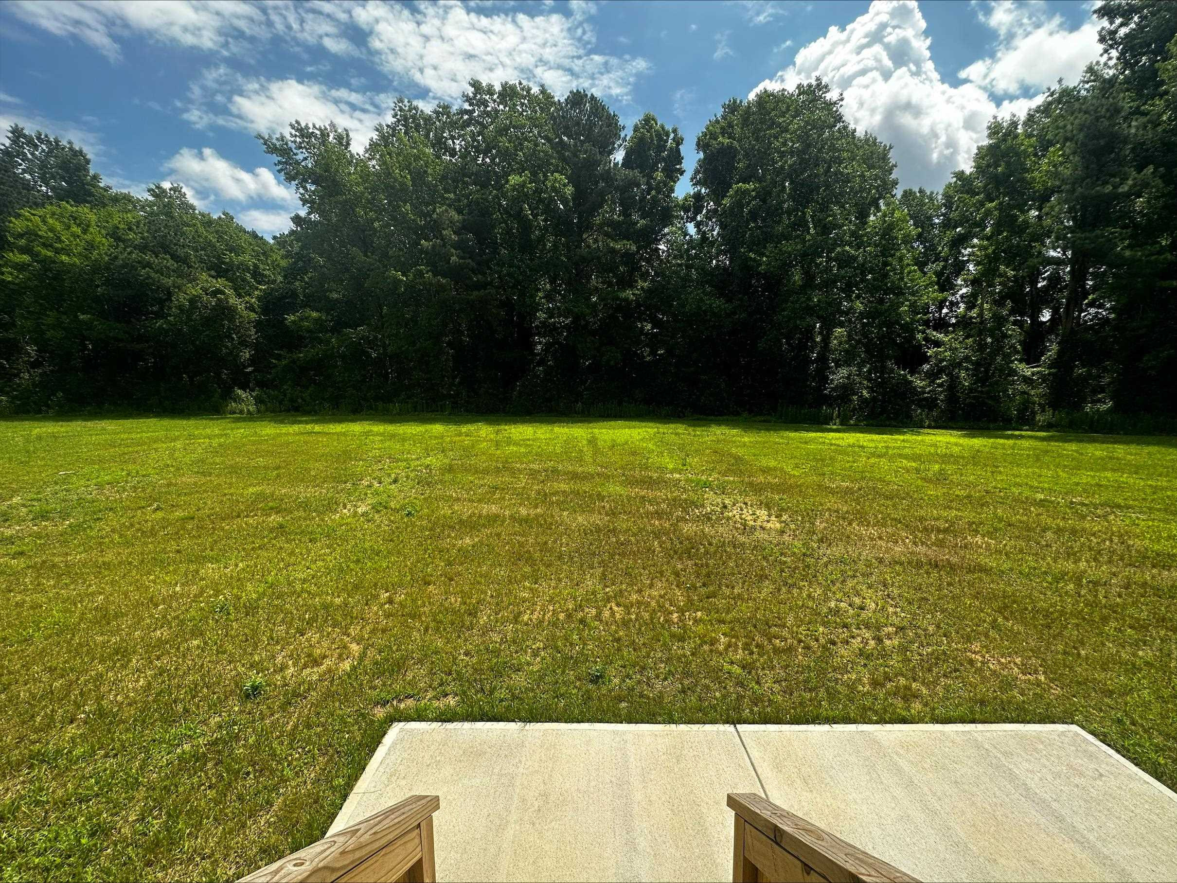 40 Daffodil Garden Smithfield, NC 27577 - Photo 16 of 17 a view of an ocean from a yard