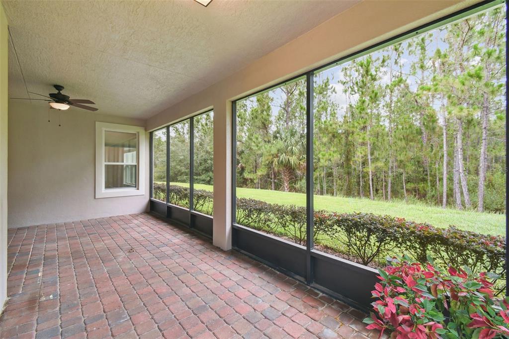 726 Irvine Ranch Road Kissimmee, FL 34759 - Photo 30 of 52