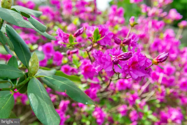 $668,900 | 1721 Urby Drive, Crofton, MD 21114