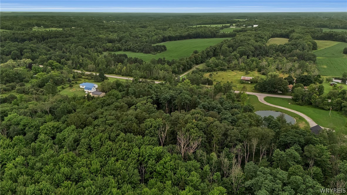 Harlow Road Darien Center, NY 14040 - Photo 16 of 28 Gallery Image 16