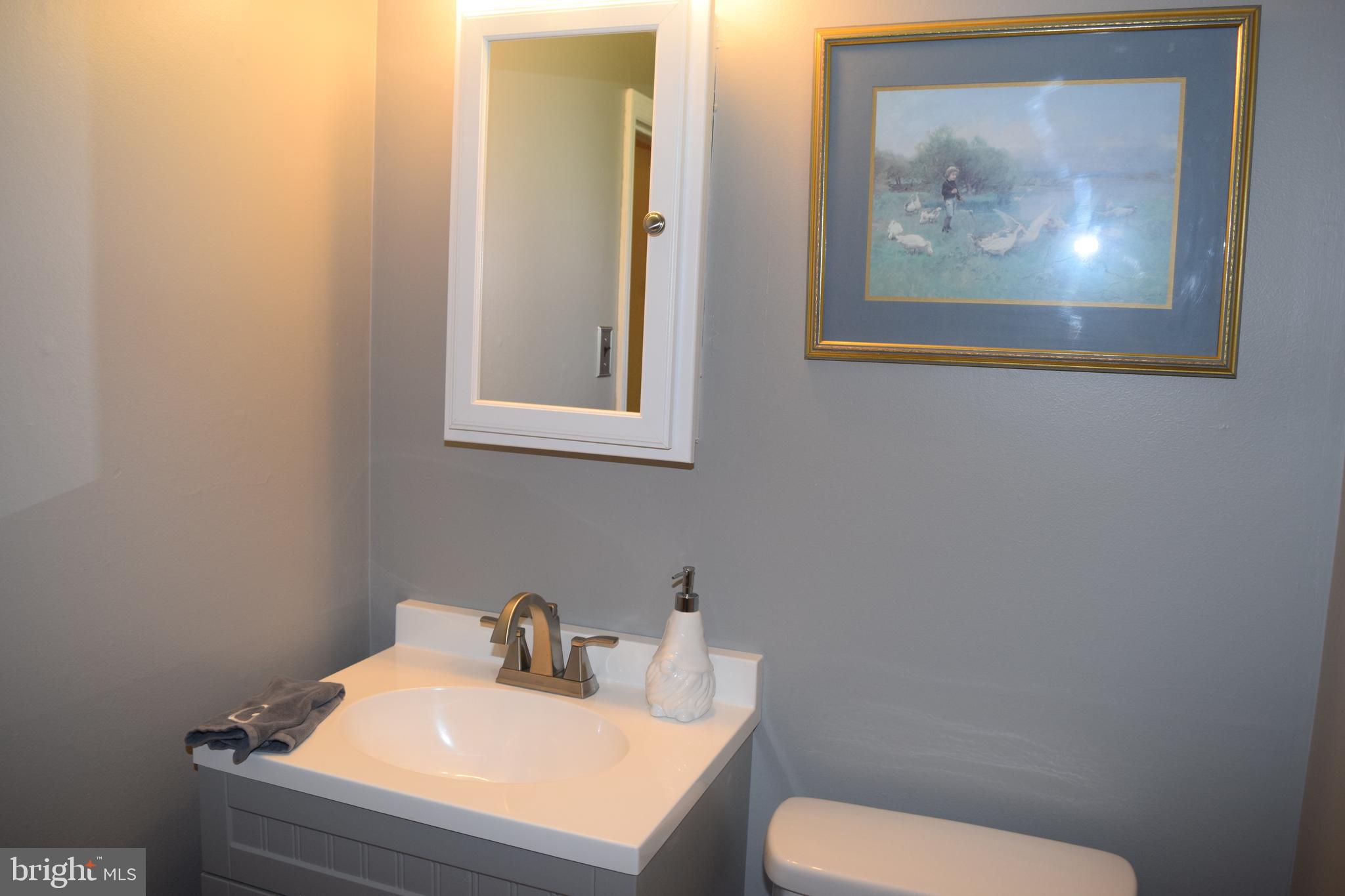 1700 Pin Oak Road Williamstown, NJ 08094 - Photo 35 of 44 Bathroom 2 (lower Level)