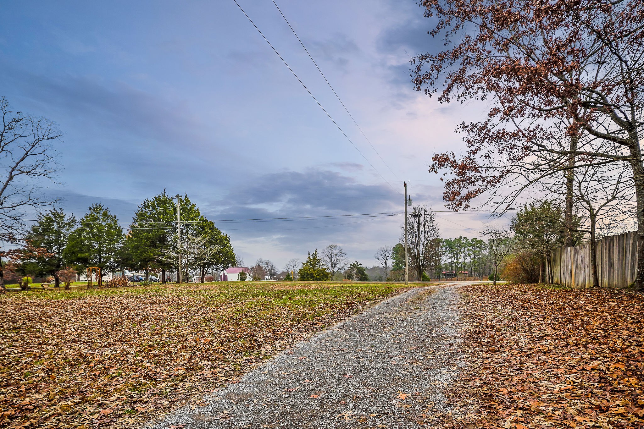 1399 Bethany Road McMinnville, TN 37110 - Photo 35 of 36 a view of a yard with plants and trees