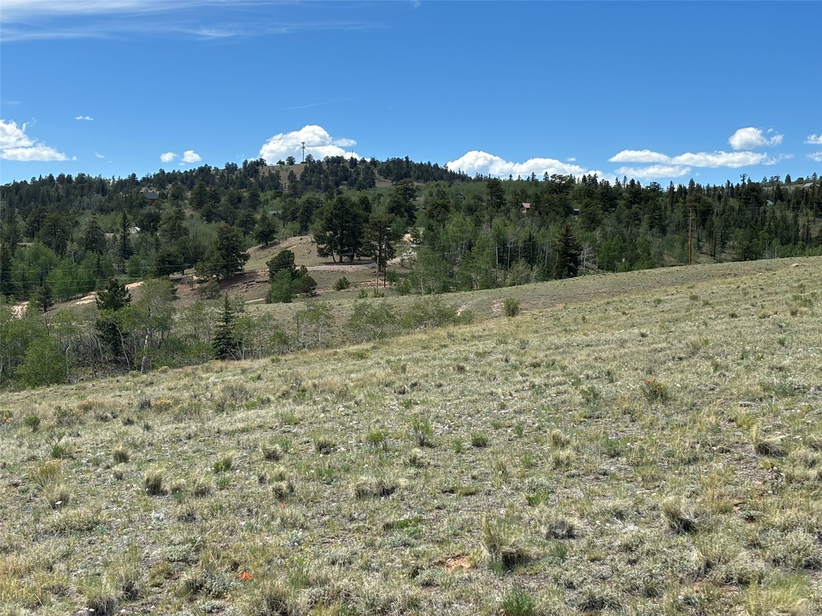 135 Hawk Way Como, CO 80432 - Photo 3 of 22 a view of a dry yard