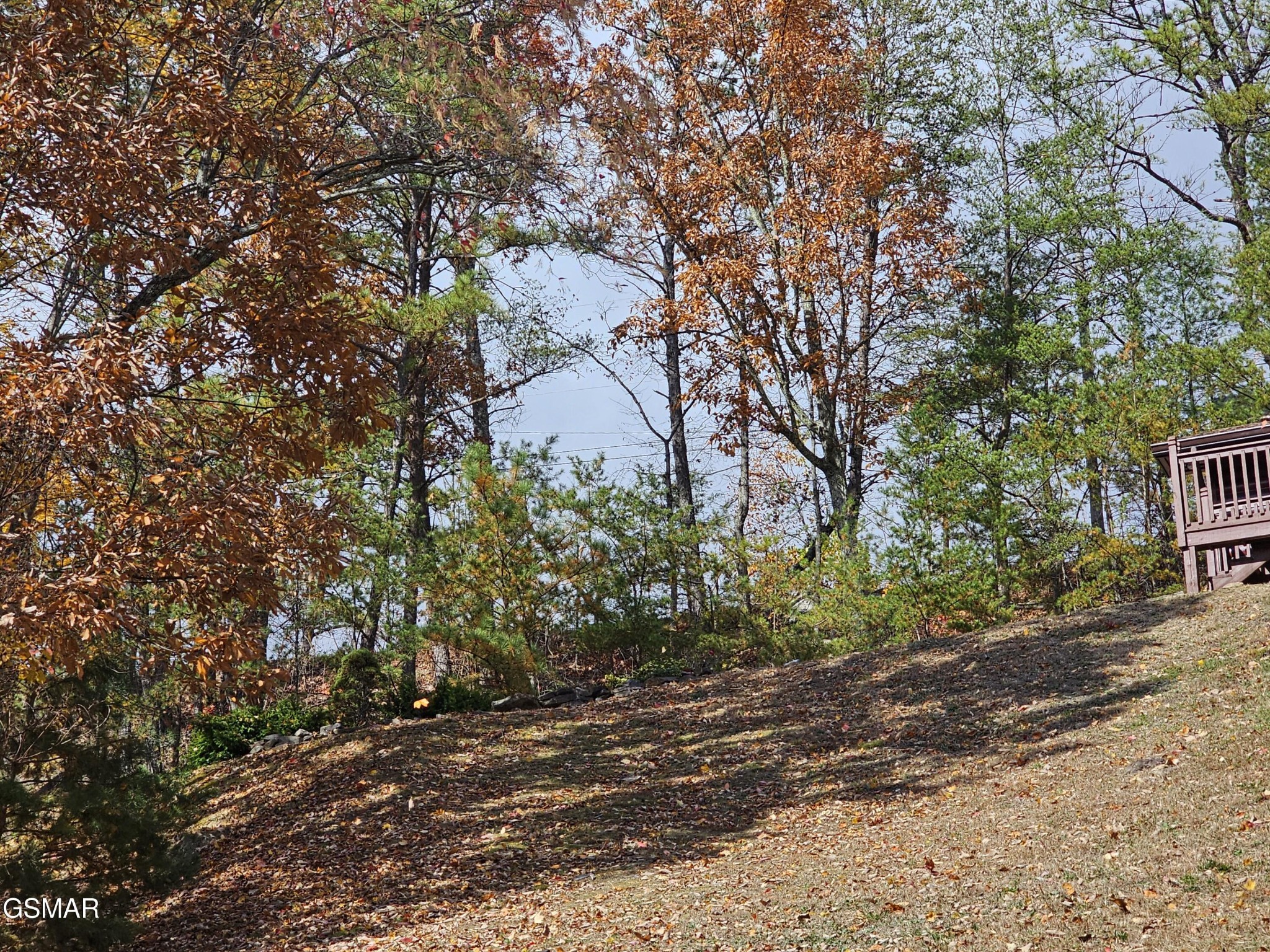 2729 Hatcher Mountain Road Sevierville, TN 37862 - Photo 8 of 53 Gallery Image 8