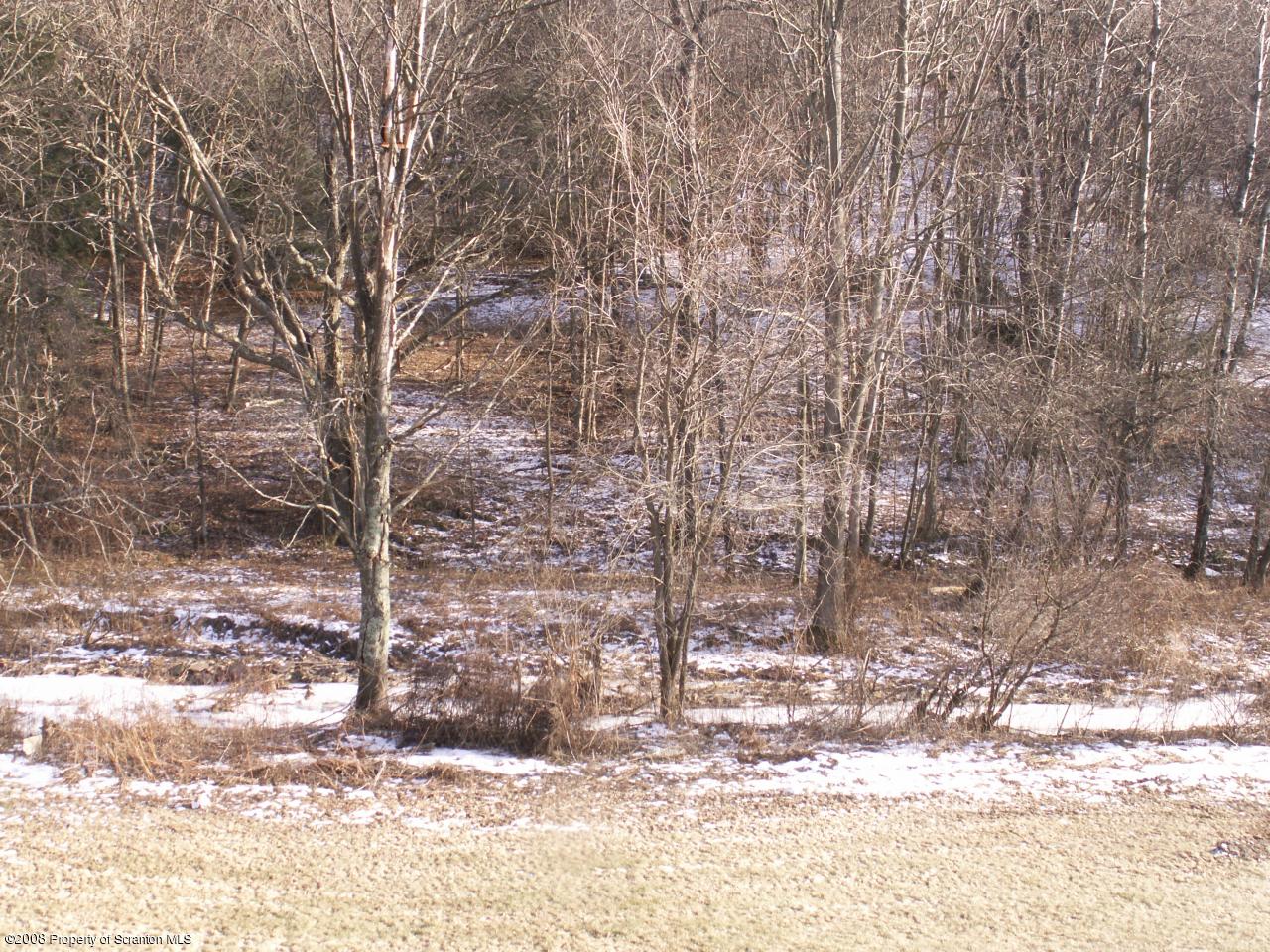 0 Rr 1 Meshoppen, PA 18630 - Photo 7 of 25 a view of a yard covered with snow