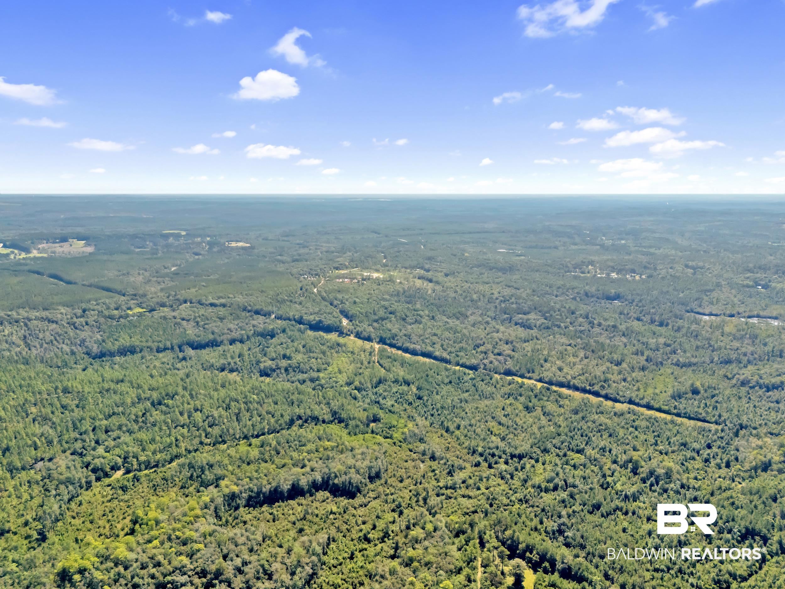 0 Arden Road Chunchula, AL 36521 - Photo 4 of 18 Aerial view of a forest