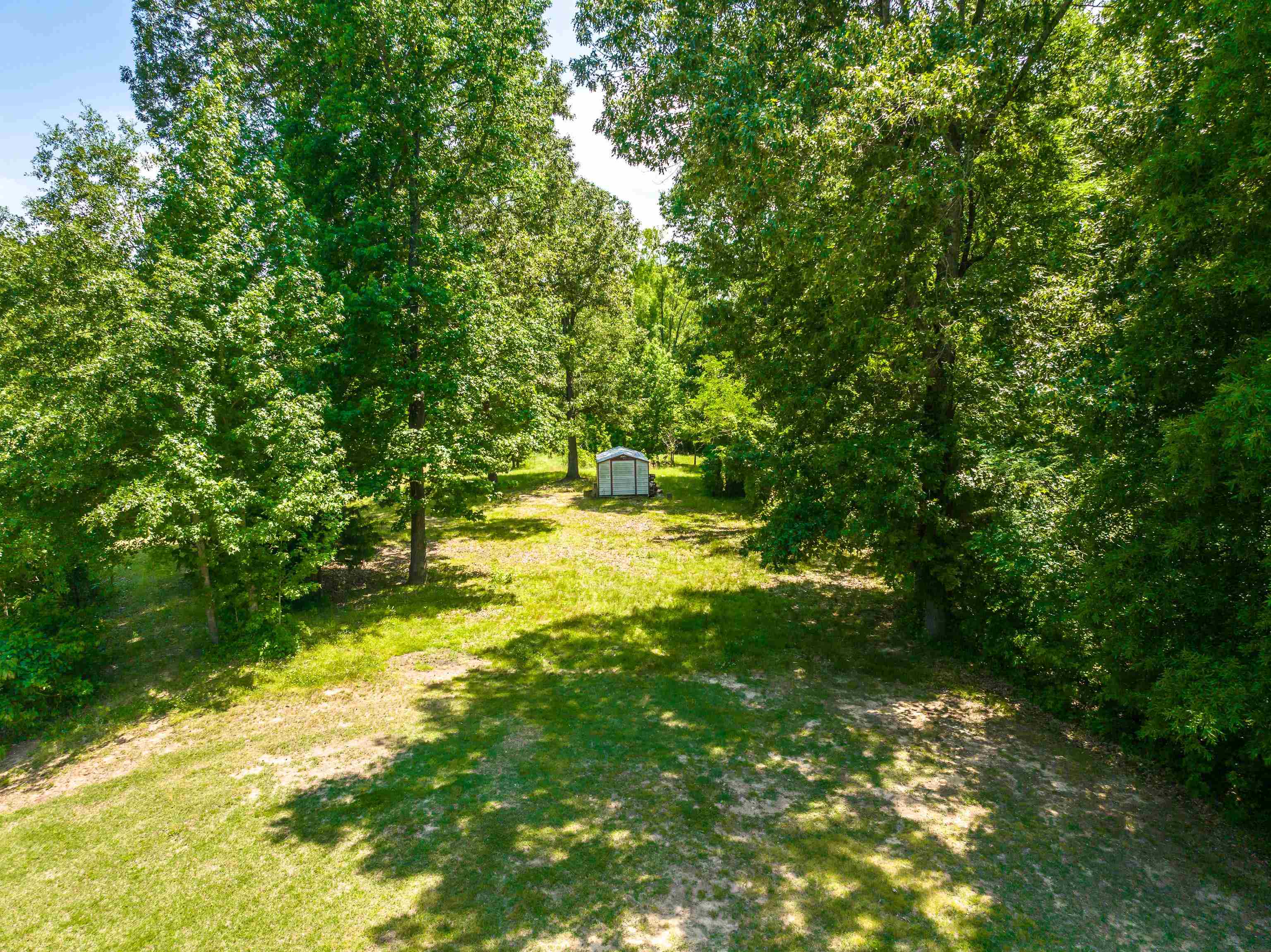 9028 Osborntown Road Arlington, TN 38002 - Photo 39 of 40 a view of yard with green space