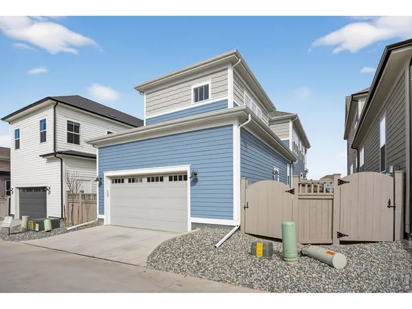 a living room with furniture a rug potted plant and windows