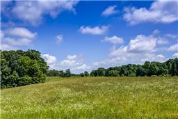 5841 Green Chapel Road Franklin, TN 37064 - Photo 5 of 20 Gallery Image 5