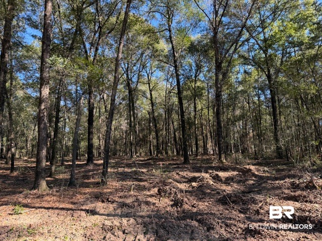 0 Danner Road East Wilmer, AL 36587 - Photo 22 of 34 Gallery Image 22
