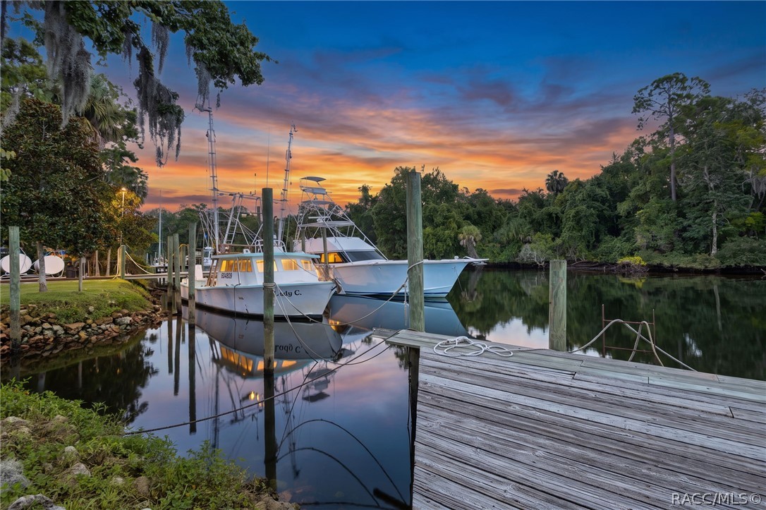 6503 Riverside Drive Yankeetown, FL 34498 - Photo 34 of 63 Gallery Image 34