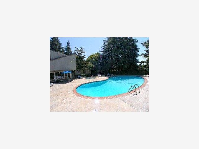 2206 Almaden Road, Unit B San Jose, CA 95125 - Photo 2 of 6 a view of a swimming pool with a yard