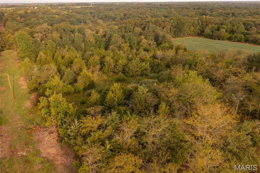 0 Abbott Road Bellflower, MO 63333 - Photo 21 of 86 Gallery Image 21