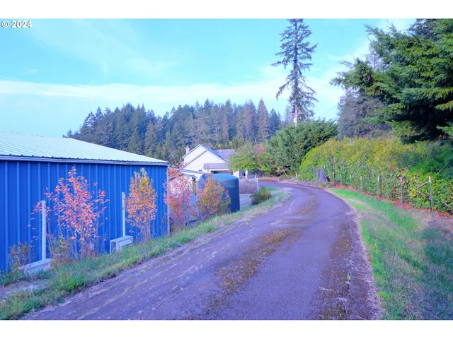 a view of a backyard
