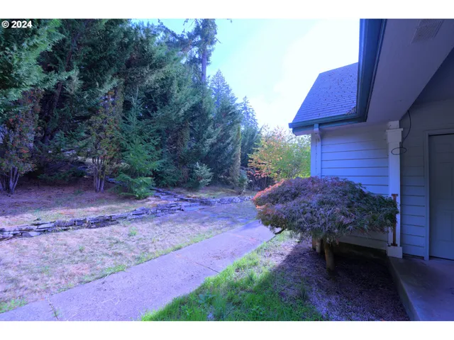 a view of a backyard with plants and a mountain