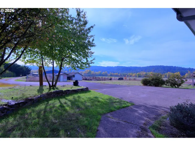 a view of a yard with an tree