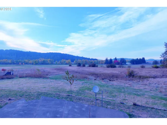 a view of a dry yard with trees in the background