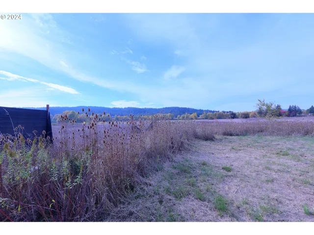 a view of a dry yard
