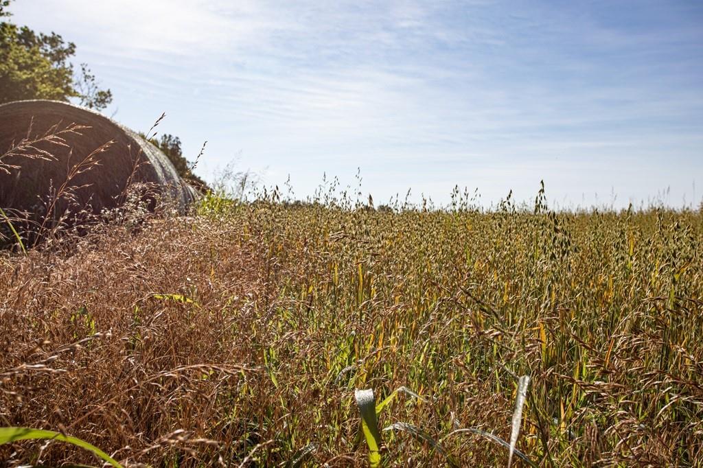 0 Underhill Road Mound City, KS 66056 - Photo 6 of 36